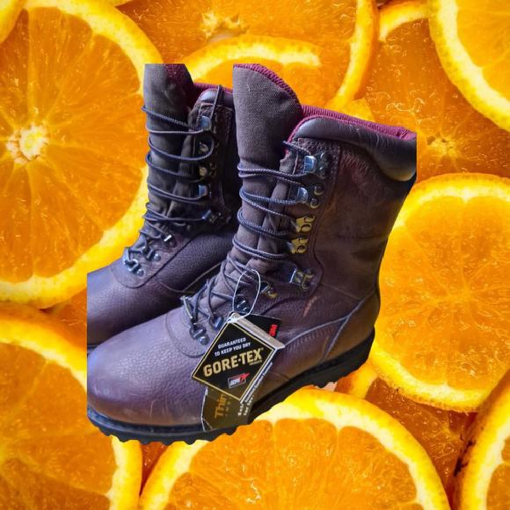 NWT Cabela's‎  Gore-Tex Thinsulate Work Boots PO:4310860 Size 9EE
